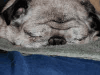 Dugan