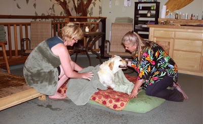 Cindy Horsfall of La Paw Spa and Linda Kemp dry off Maggie after her warm water therapy session.