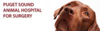 Puget Sound Animal Hospital for Surgery