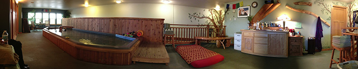 La Paw Spa Pool Room