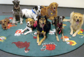 Gracie (far left) with her TDI Dog friends