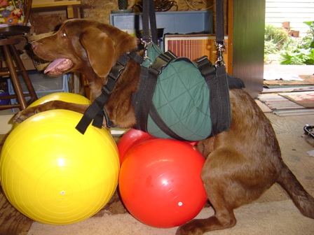 Trooper and exercise balls