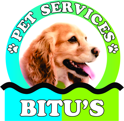 Bitu’s Pet Services – Chetal & Indrajit Vichare
