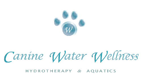 Canine Water Wellness Ltd. – Lianne Zitzelsberger