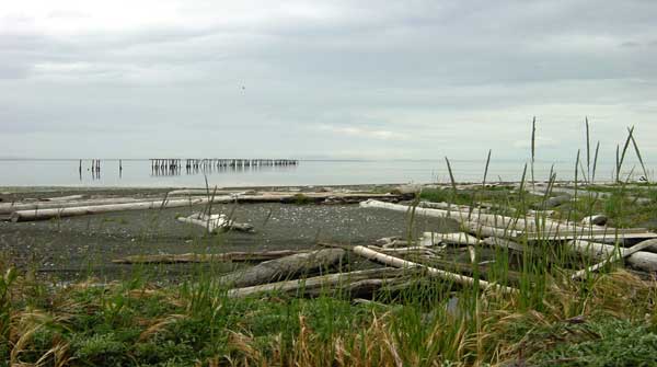 sequim beach