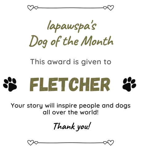 La Paw Spa's Dog of the Month!