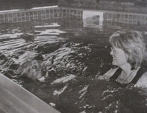 'Muffy' brings a tennis ball to Cindy Horsfall in the warm water therapy pool at La Paw Spa in Carlsborg