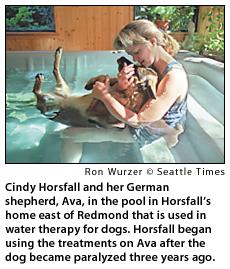 Cindy Horsfall and her German shepherd, Ava, in the pool...